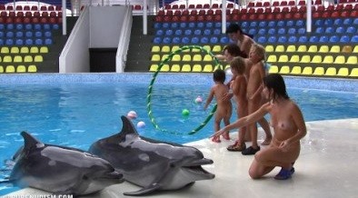 Dolphin Day Delights 1 - It values inner balance and peace of mind