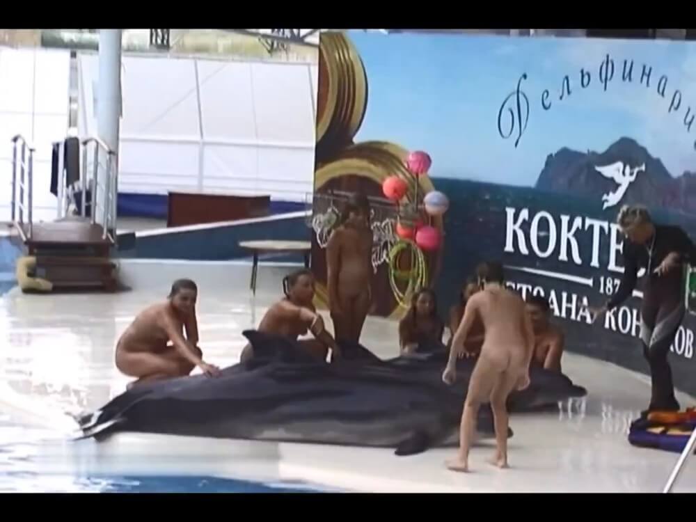 Relaxing at the dolphinarium - Naturists value tranquility and peace
