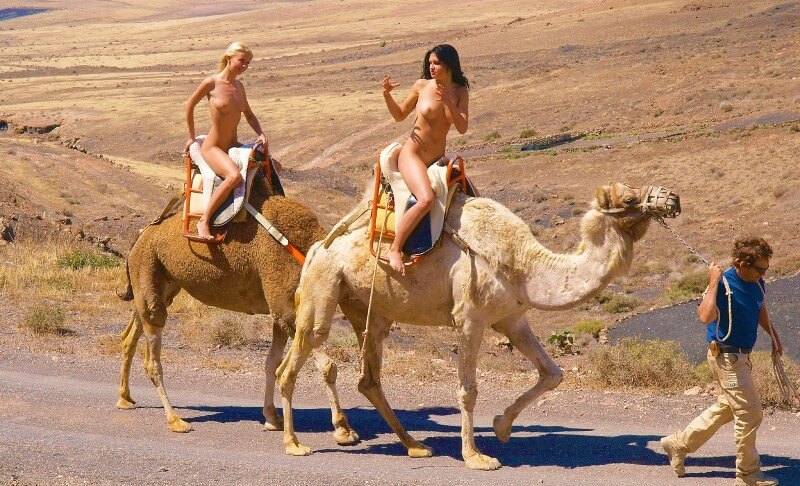 Funny Moments Life pics - Most nudists are motivated solely by a sense of comfort